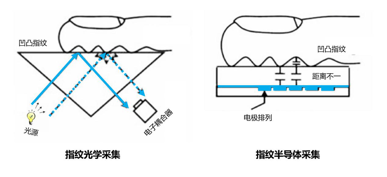 半導(dǎo)體指紋和光學(xué)指紋